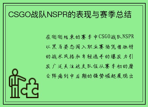 CSGO战队NSPR的表现与赛季总结