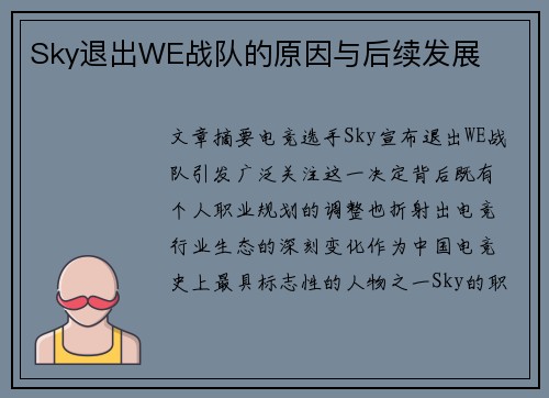Sky退出WE战队的原因与后续发展